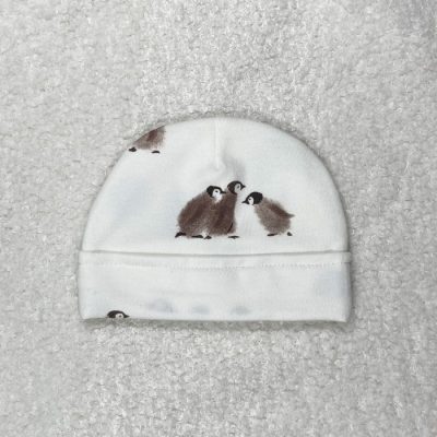 Mutsje prematuur pinguin
