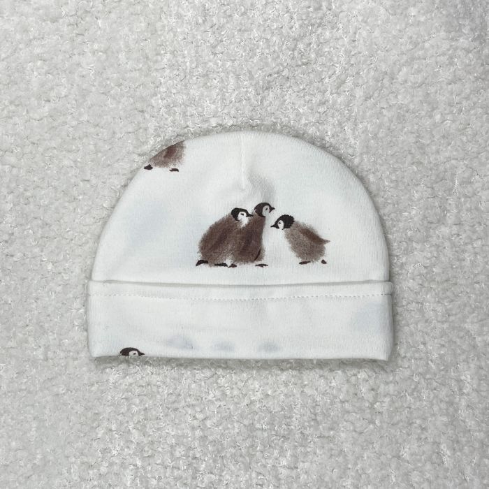 Mutsje prematuur pinguin
